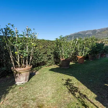 Le Bicocche Villa *